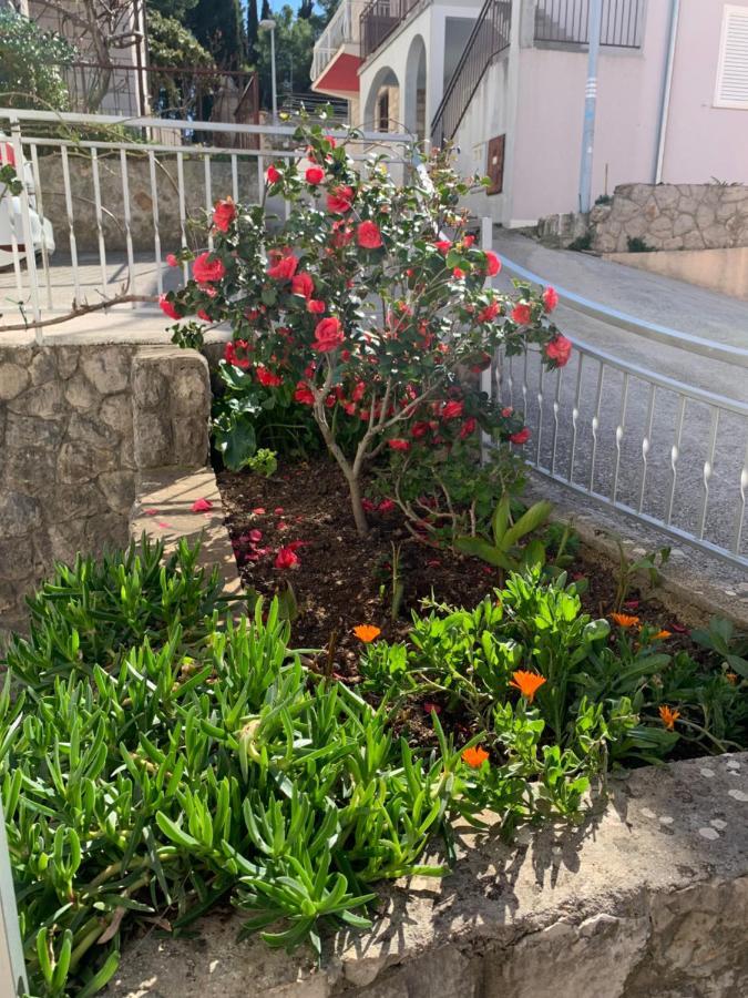 Apartments Epidaurus Cavtat Εξωτερικό φωτογραφία