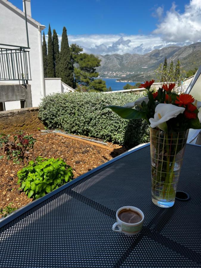 Apartments Epidaurus Cavtat Εξωτερικό φωτογραφία